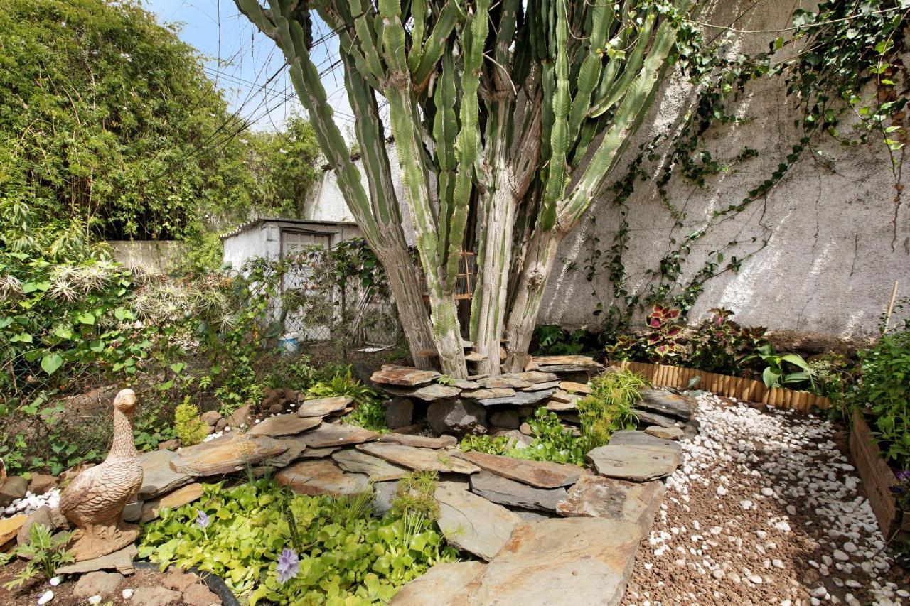 Apartamento Jardin Del Sol Tacoronte Luaran gambar